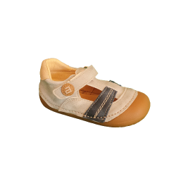 Andanines - 231228 - PONTIAC VAPORE