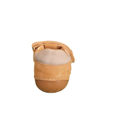 Andanines - 231227 - PONTIAC CAMEL